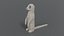 meerkat ready model