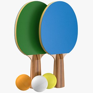 Ping Pong  Paddles 04 model