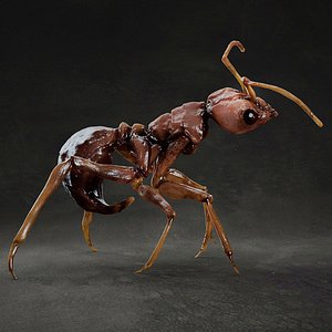 Ant 3D model