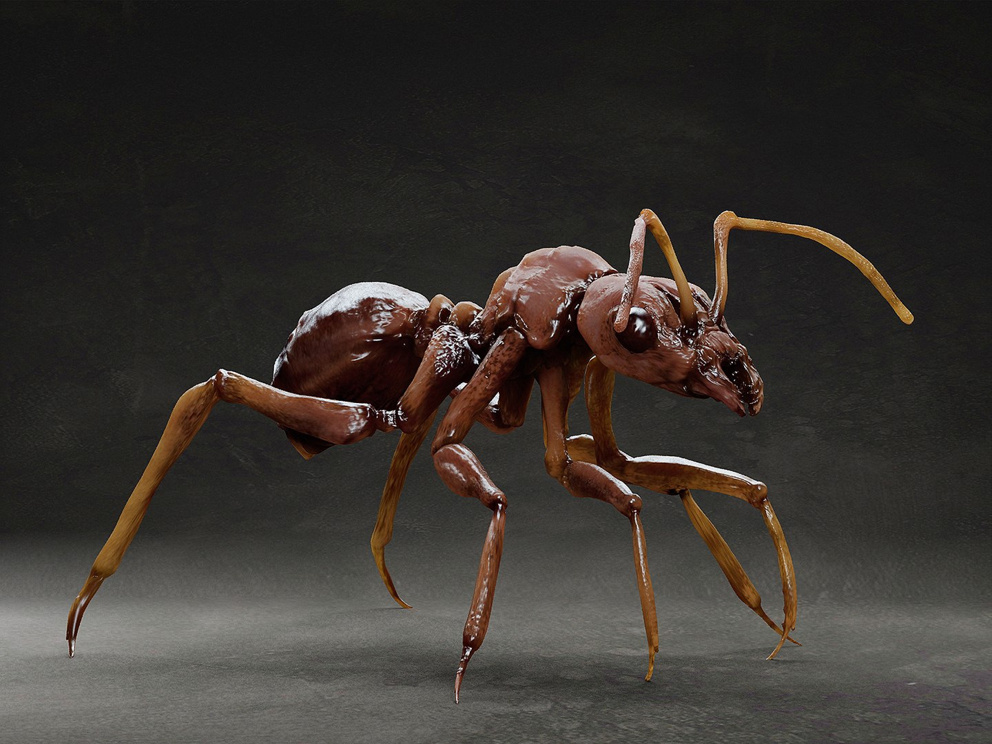 Ant 3D Model - TurboSquid 1894924
