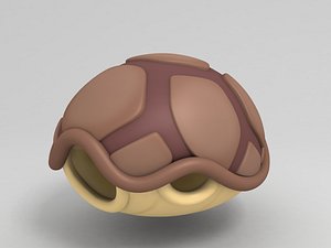 Turtle Shell