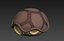 Turtle Shell