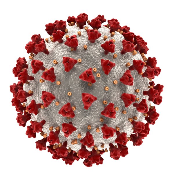 3D coronavirus covid-19 - TurboSquid 1657703