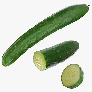Japanese Cucumber Collection 02