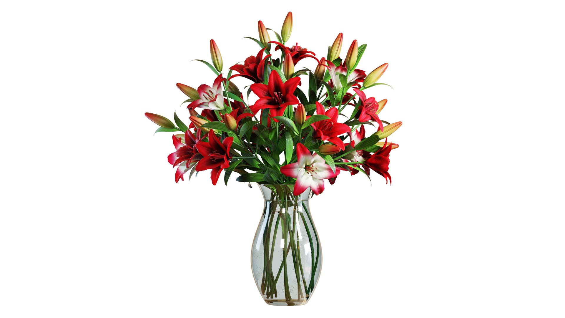 3D Flower Set 14 - Red Lilies Bouquet model https://p.turbosquid.com/ts-thumb/N7/cleutG/63/flower_set_14_color_0000/jpg/1652791254/1920x1080/fit_q87/89366b38fc7749e945f6c3e2bbd362cea6474047/flower_set_14_color_0000.jpg