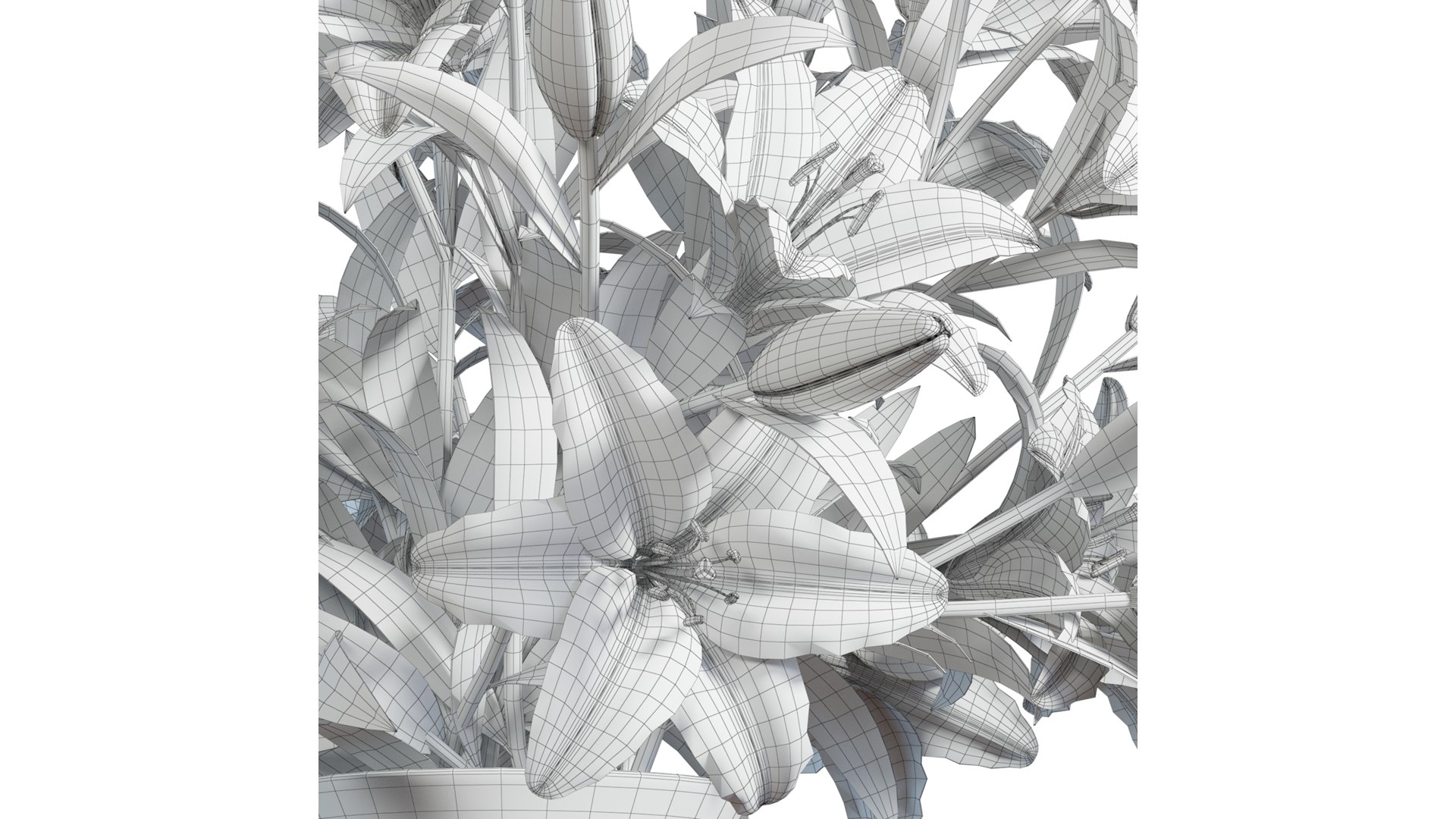 3D Flower Set 14 - Red Lilies Bouquet model https://p.turbosquid.com/ts-thumb/N7/cleutG/8Z/flower_set_14_wire_0004/jpg/1652791268/1920x1080/fit_q87/d1ae21c71d795f10b5d3e42c8df08e4faeeca340/flower_set_14_wire_0004.jpg