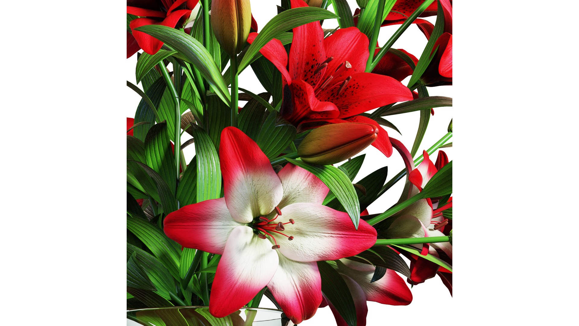3D Flower Set 14 - Red Lilies Bouquet model https://p.turbosquid.com/ts-thumb/N7/cleutG/dG/flower_set_14_color_0004/jpg/1652791272/1920x1080/fit_q87/21ddecf5c54912154b4d1cd73a2ad98d1e09c01f/flower_set_14_color_0004.jpg