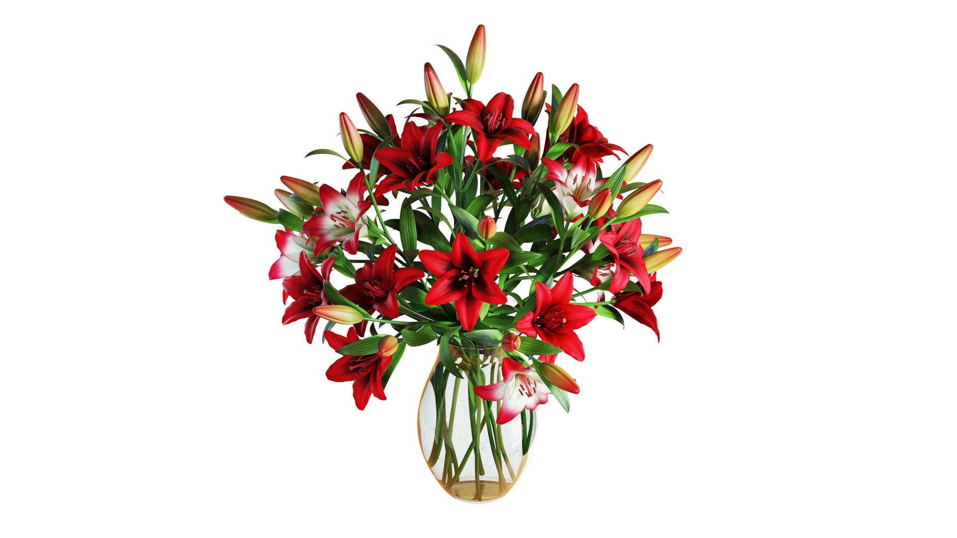 3D Flower Set 14 - Red Lilies Bouquet model https://p.turbosquid.com/ts-thumb/N7/cleutG/yB/flower_set_14_color_0001/jpg/1652791260/1920x1080/fit_q87/d3ba4f652535ef04e86ecf11696c215b379249ae/flower_set_14_color_0001.jpg