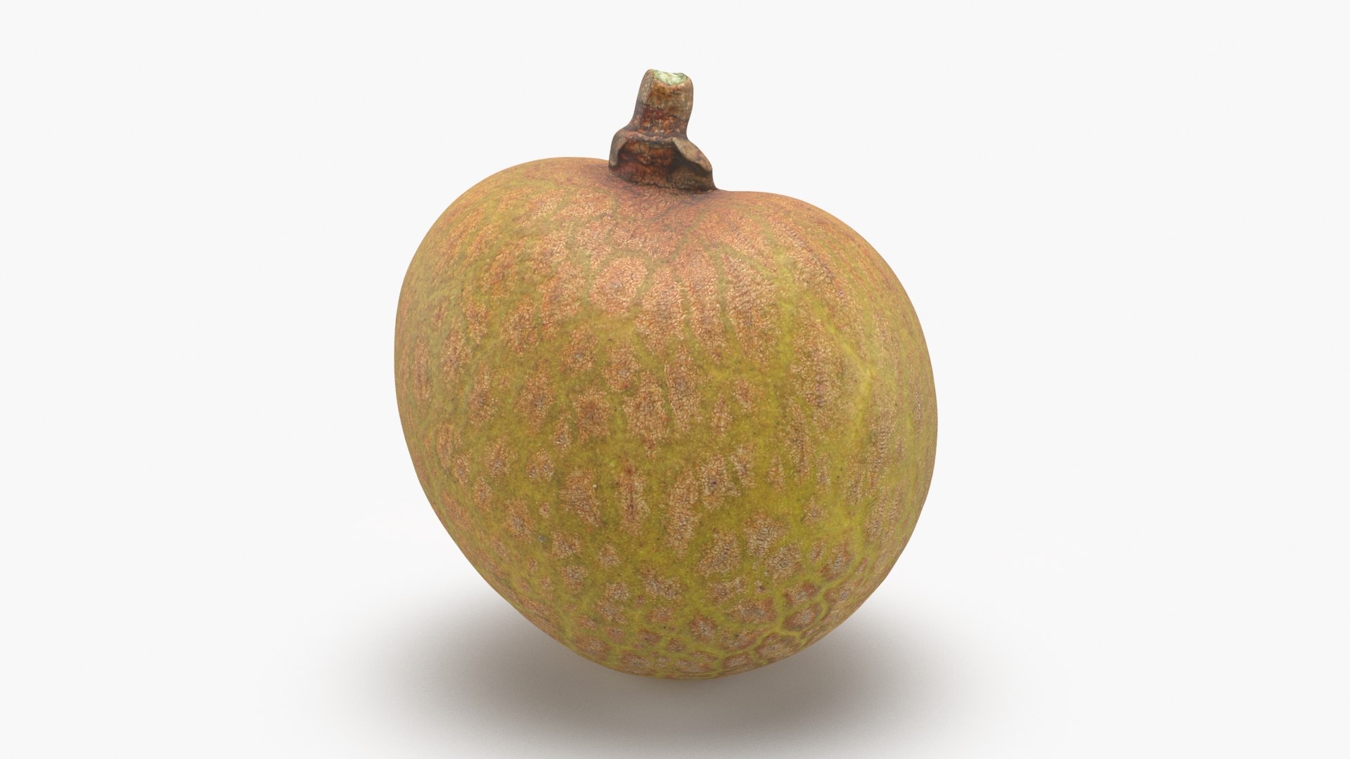 Longan Collection 3D model https://p.turbosquid.com/ts-thumb/N7/gDvARS/8a/longan02_a0001/jpg/1697467690/1920x1080/fit_q87/909279ffd7ee3f55ed61feb9638f95521b023a46/longan02_a0001.jpg