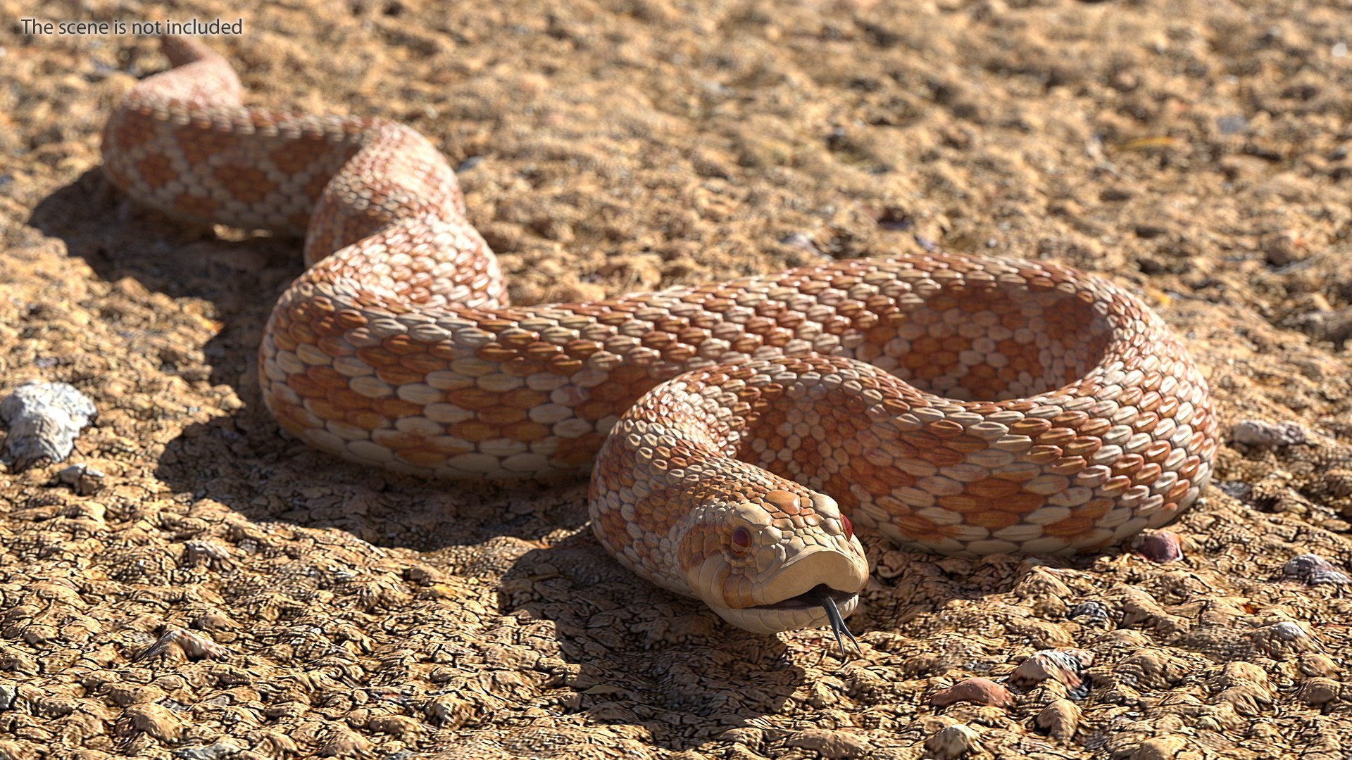 Beige Hognose Snake Rigged for Cinema 4D 3D model preview