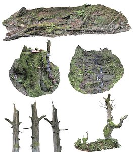 forest asset pack hd 3D