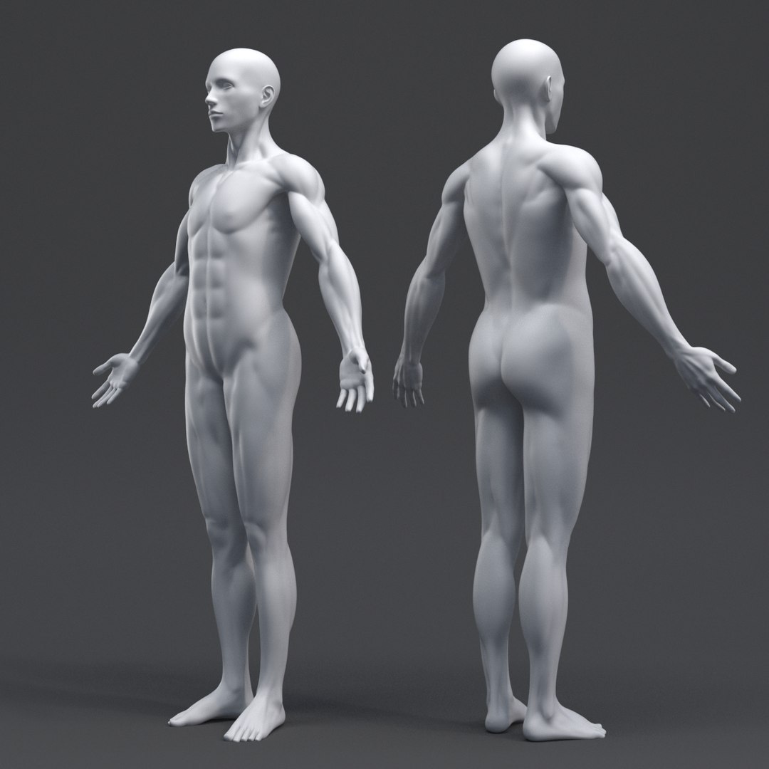 free human simulation 3d model https://p.turbosquid.com/ts-thumb/N8/02mqT9/0bqmpdmu/skin/png/1485675829/1920x1080/fit_q87/52c325d470048970a0dcc228364d99230f880f20/skin.jpg