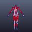Human Anatomy for Simulation