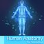 Human Anatomy for Simulation