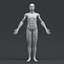 Human Anatomy for Simulation