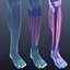 Human Anatomy for Simulation