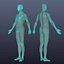 Human Anatomy for Simulation