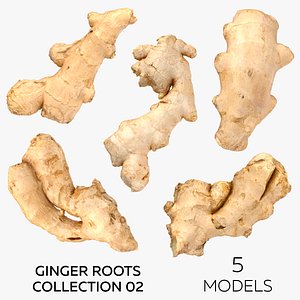 Ginger Roots Collection 02 - 5 models model