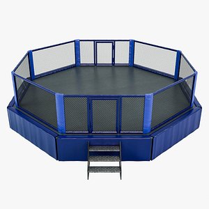 3D model Mixed Martial Arts Octagon Arena