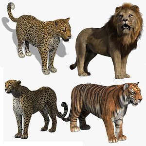 Big Cats Collection