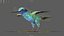 3D realistic hummingbird rigged model
