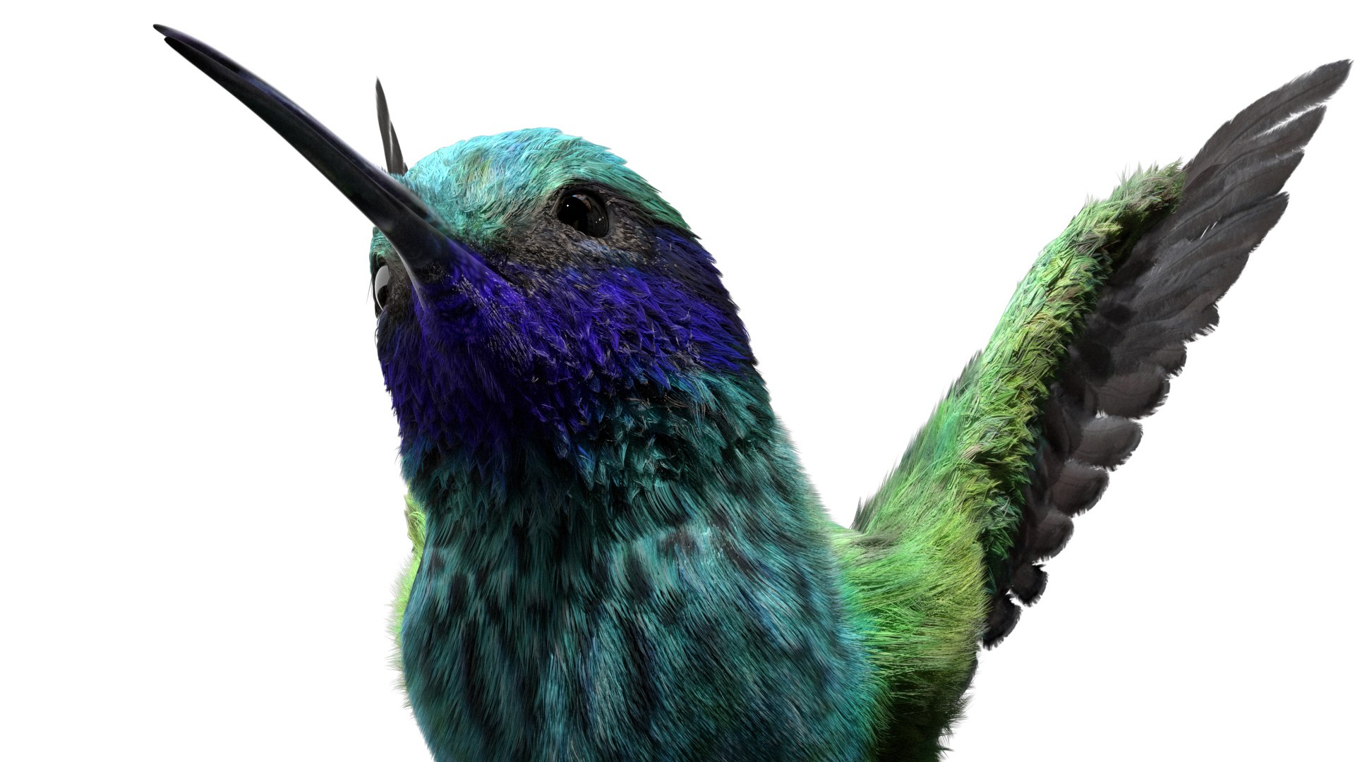 3D realistic hummingbird rigged model https://p.turbosquid.com/ts-thumb/N8/BdD5Ta/2Z83SswL/11/jpg/1582890257/1920x1080/fit_q87/c9992adc0612e82f1d423f1c478362eca2f963bd/11.jpg