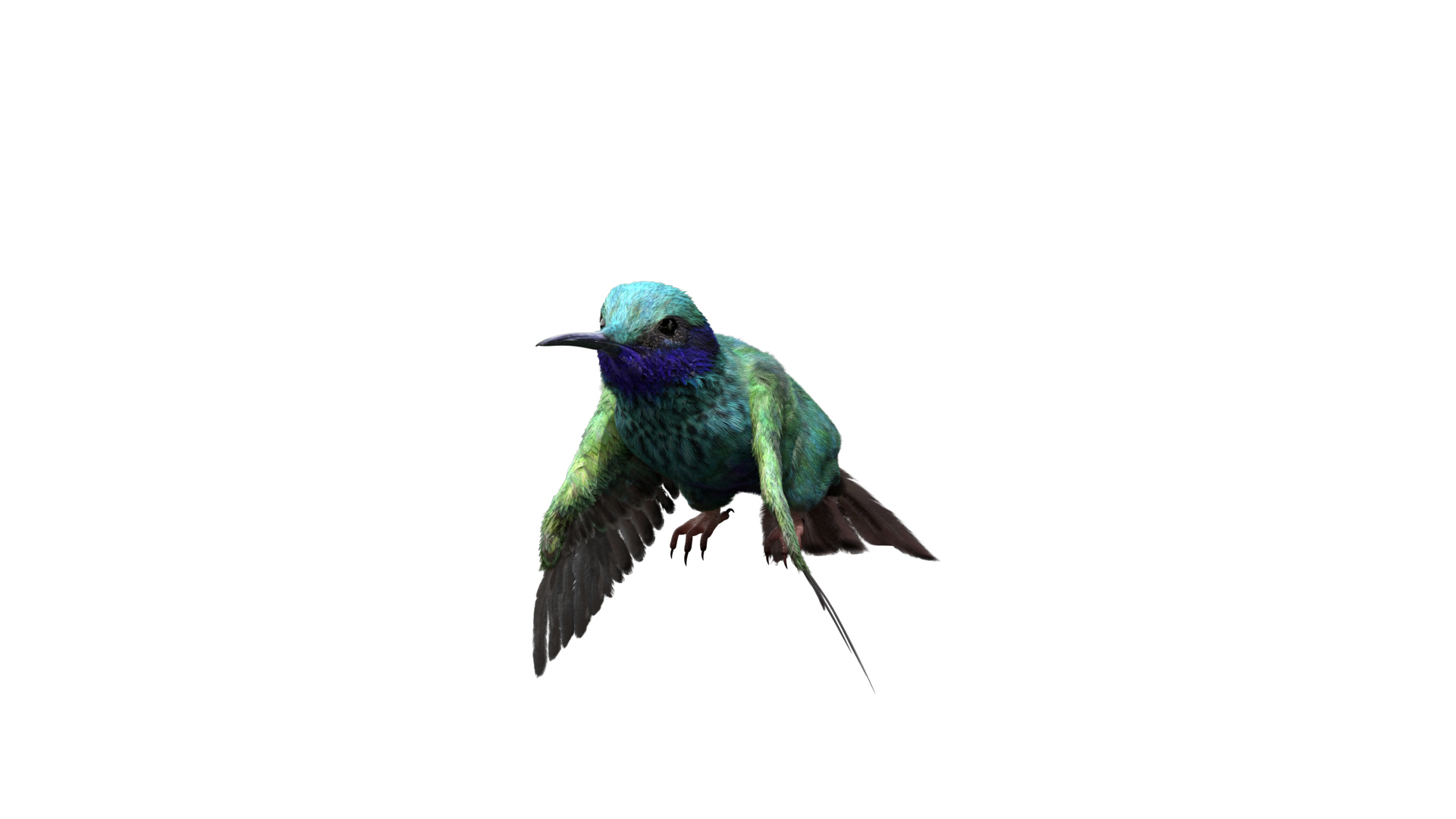 3D realistic hummingbird rigged model https://p.turbosquid.com/ts-thumb/N8/BdD5Ta/TD9G9chu/fly/jpg/1595408579/1920x1080/turn_fit_q99/d1cdfb10ada52ee548a6ad7822c9dcda86832dc2/fly-1.jpg
