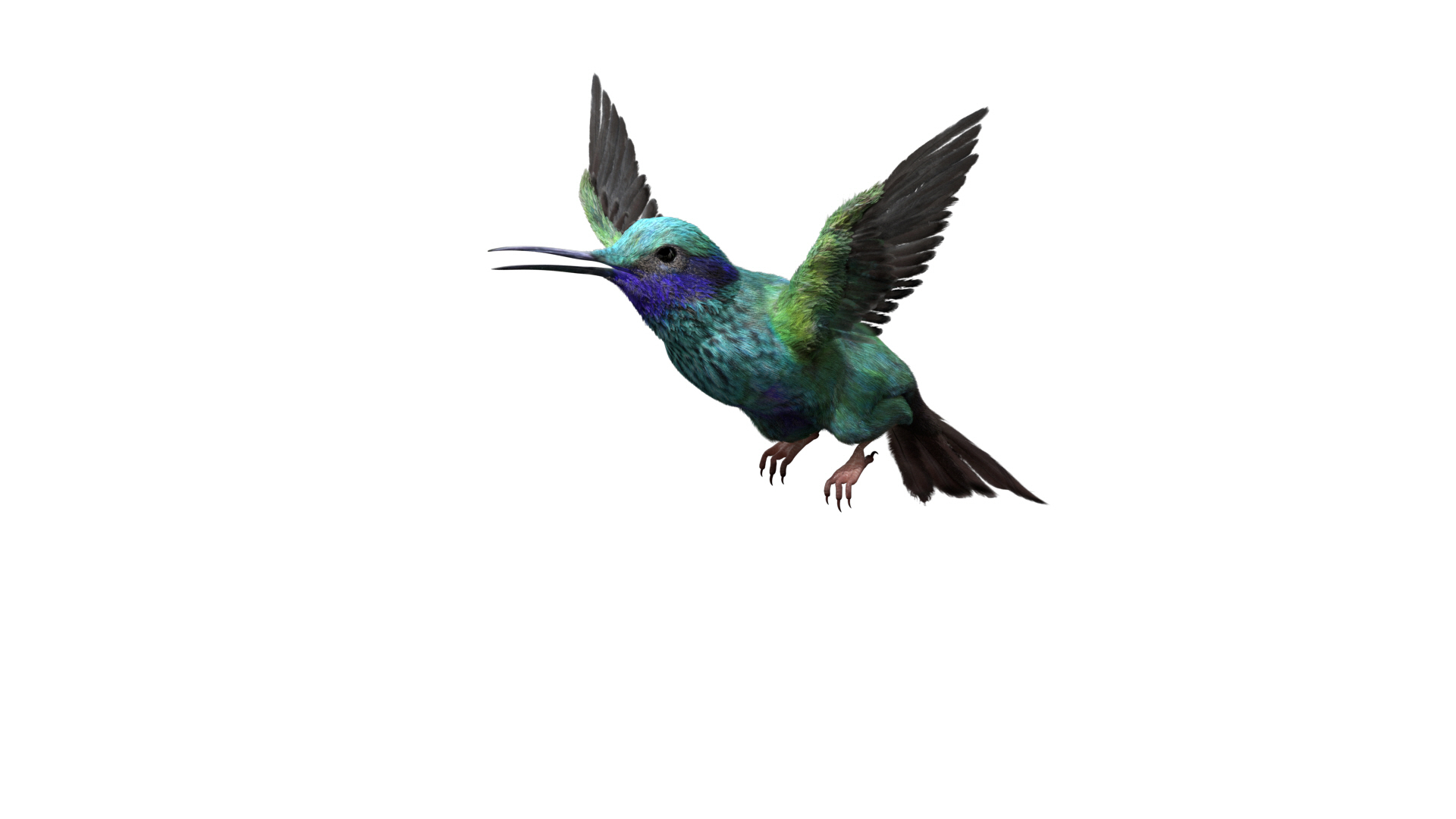 3D realistic hummingbird rigged model https://p.turbosquid.com/ts-thumb/N8/BdD5Ta/cLwp0Toi/death/jpg/1595408568/1920x1080/turn_fit_q99/b4de92ec5c72758767e34d4a66206a218c0c39a7/death-1.jpg