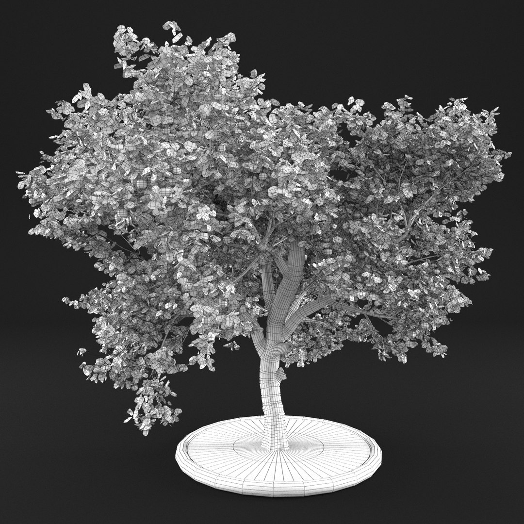 Apple Tree Model - TurboSquid 1159244