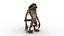 Werwolf