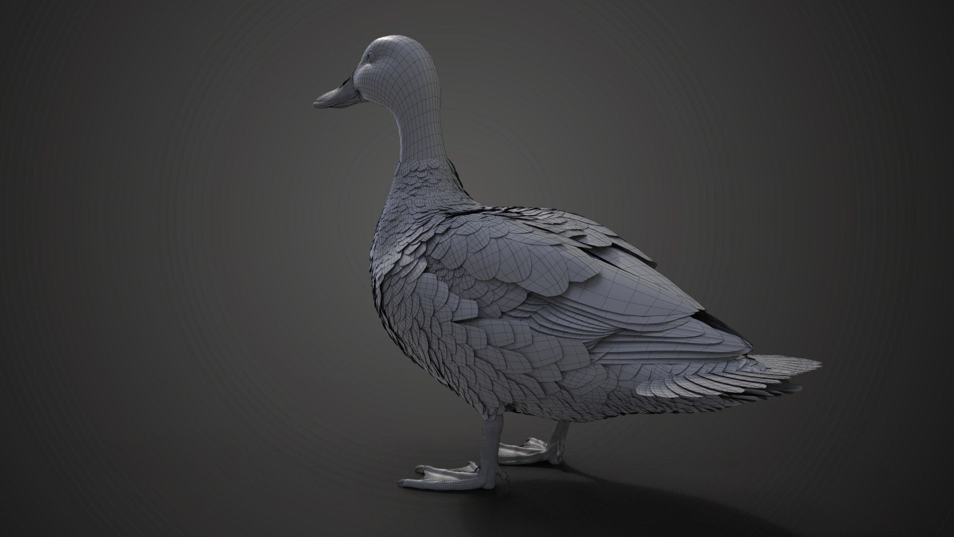 3D Mallard Female Animated https://p.turbosquid.com/ts-thumb/N8/m5gFnY/NR/jf0l219a6_mallard_female_wire03/png/1686282932/1920x1080/fit_q87/787efa0b9d1a94d798b9097e09040e7df62bdba1/jf0l219a6_mallard_female_wire03.jpg
