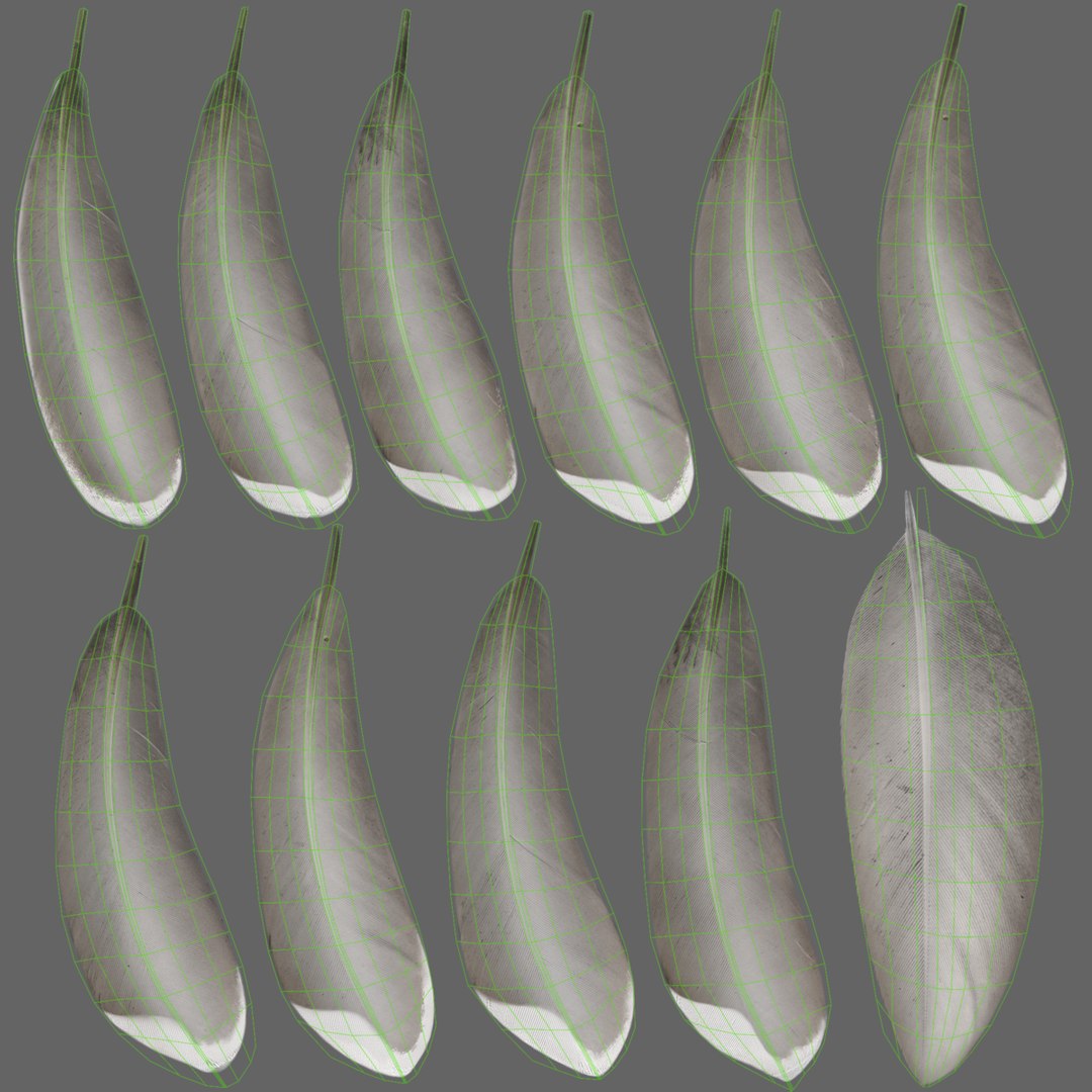 3D Mallard Female Animated https://p.turbosquid.com/ts-thumb/N8/m5gFnY/lF/jf0l219a6_mallard_female_uv06/png/1686282936/1920x1080/fit_q87/6cdef80ded11e1e38e8d973a64b57c64253ab94a/jf0l219a6_mallard_female_uv06.jpg