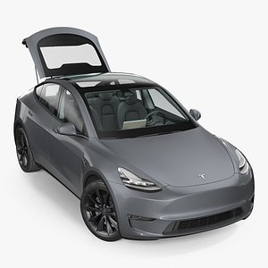 Tesla Model Y Silver Rigged 3D Model