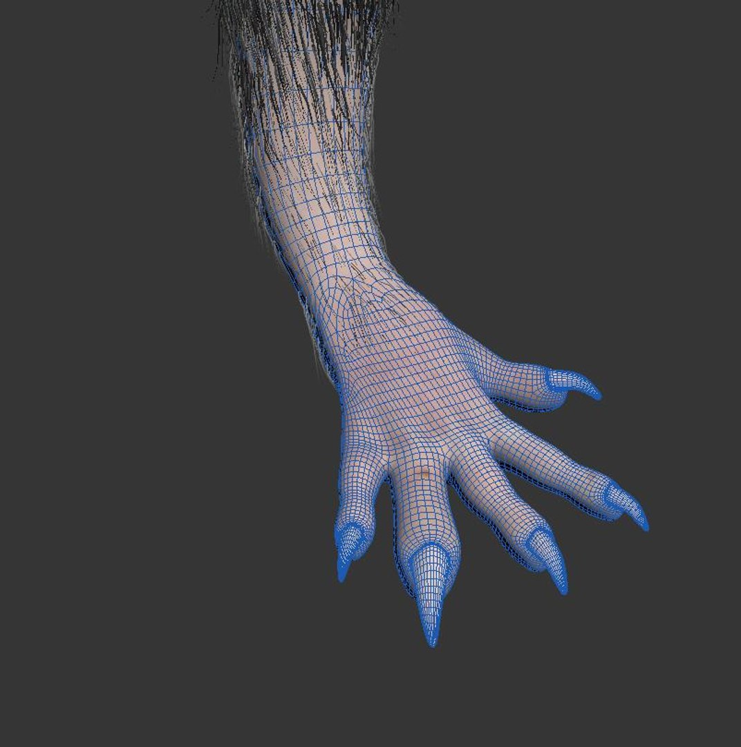 Free Animal Rat Mouse Model - TurboSquid 1520064