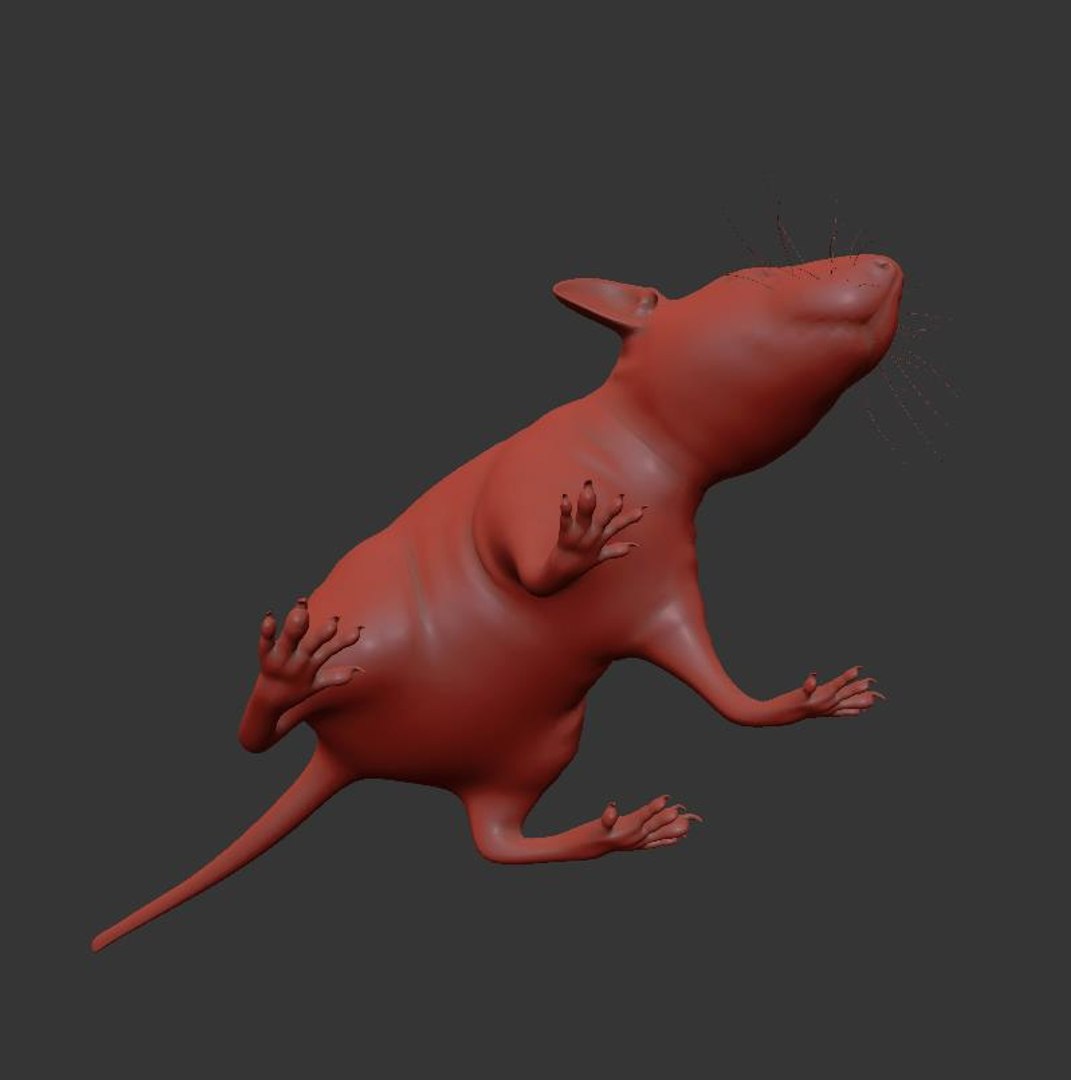 Free Animal Rat Mouse Model - TurboSquid 1520064