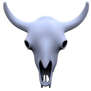 Bison Skeleton 3D model