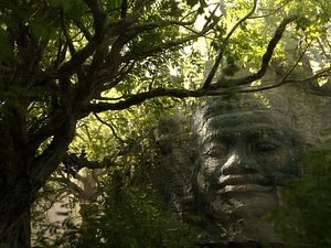 Jungle Temple