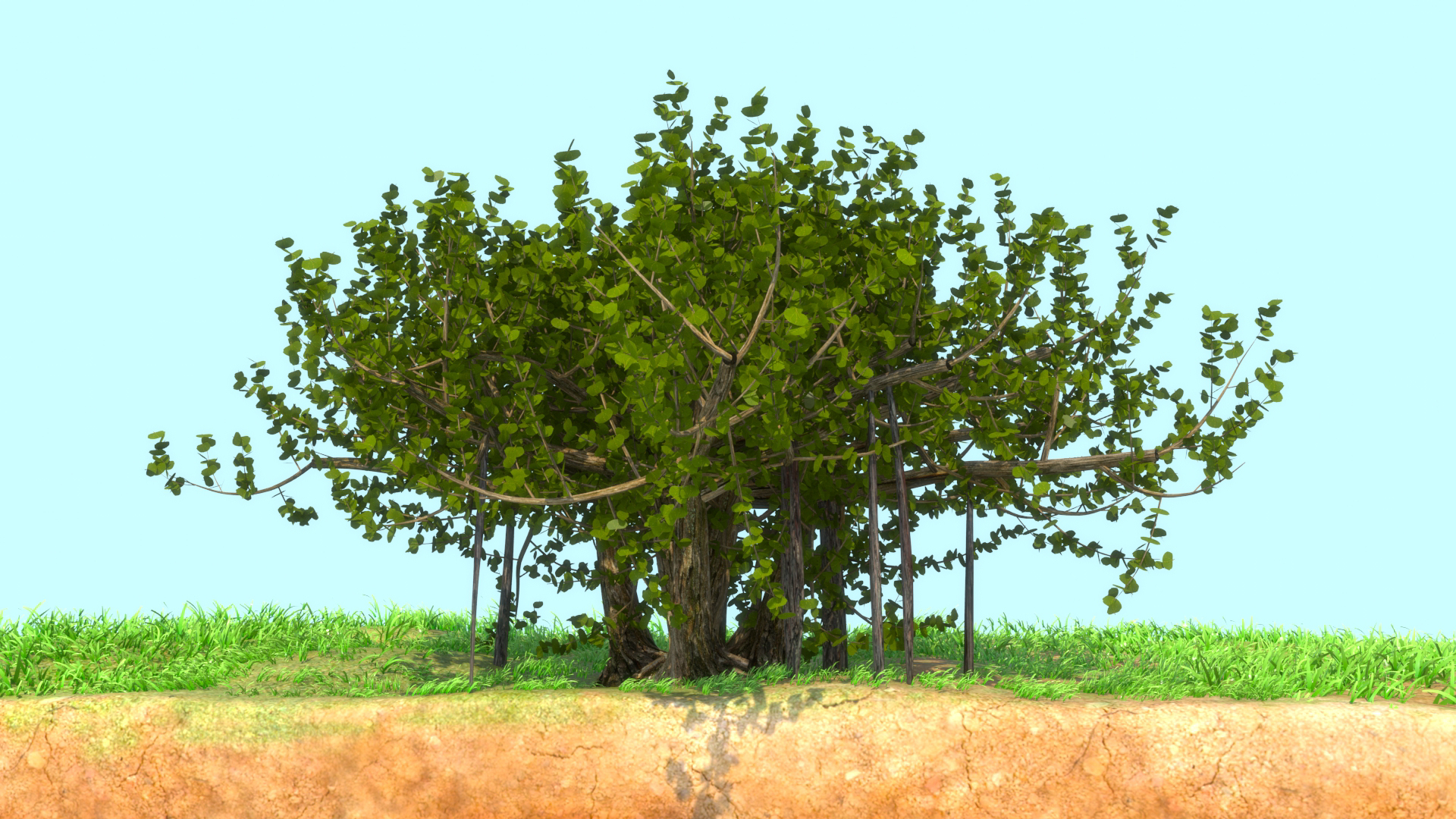 3D Banyan Tree - TurboSquid 2207510