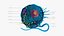 Eukaryotic Cell