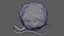 Eukaryotic Cell