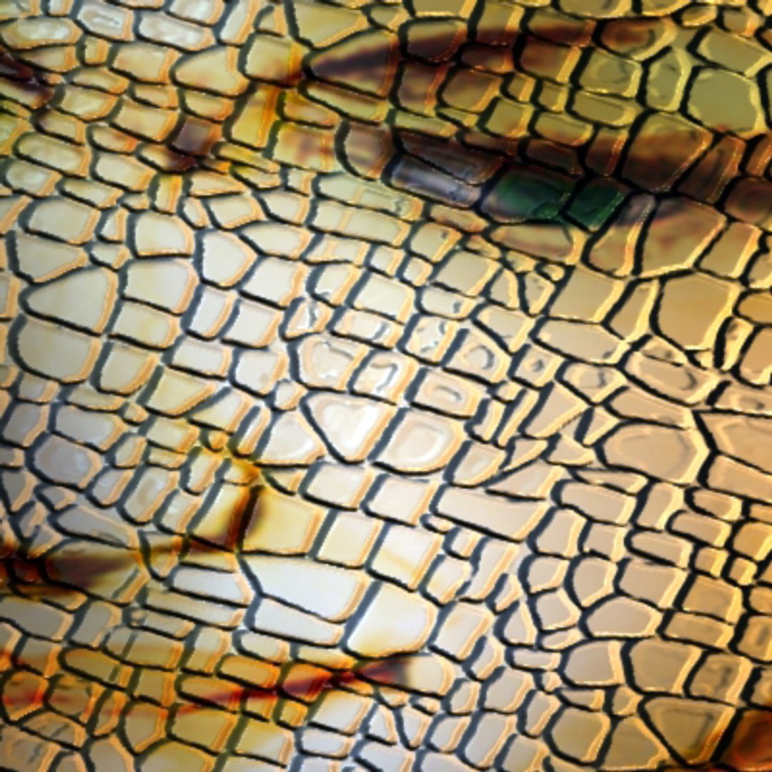 old mosaic 3d max https://p.turbosquid.com/ts-thumb/N9/IOW248/dh5zfBWC/mosaic_05/jpg/1189895651/1920x1080/fit_q87/afc9093b65ce48296452bae31299ad5ab95ca58d/mosaic_05.jpg
