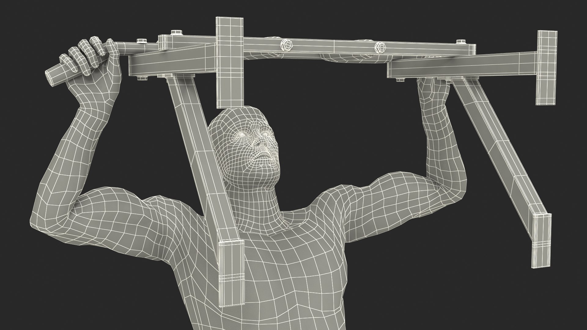 Anatomy Male Muscular System Pull-up Animated Rigged 3D - TurboSquid ...