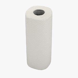 3D paper towel roll
