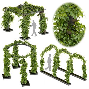 3D Collection plant vol 269 -Fitowall - garden - ertical