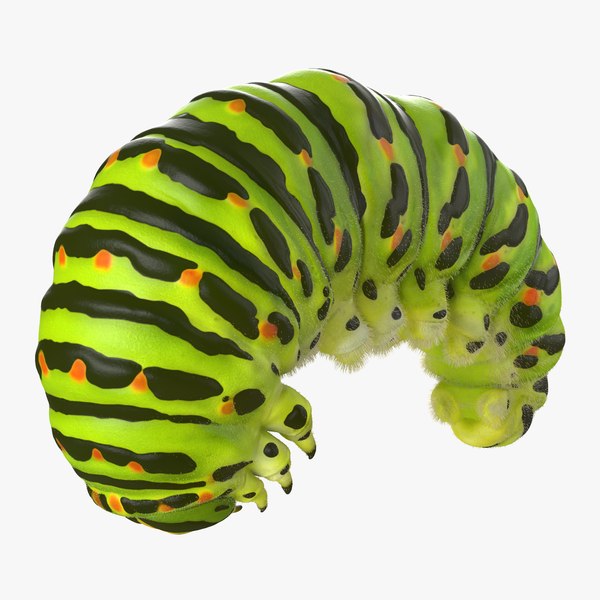 caterpillarpose3withfur3dmodel000.jpg