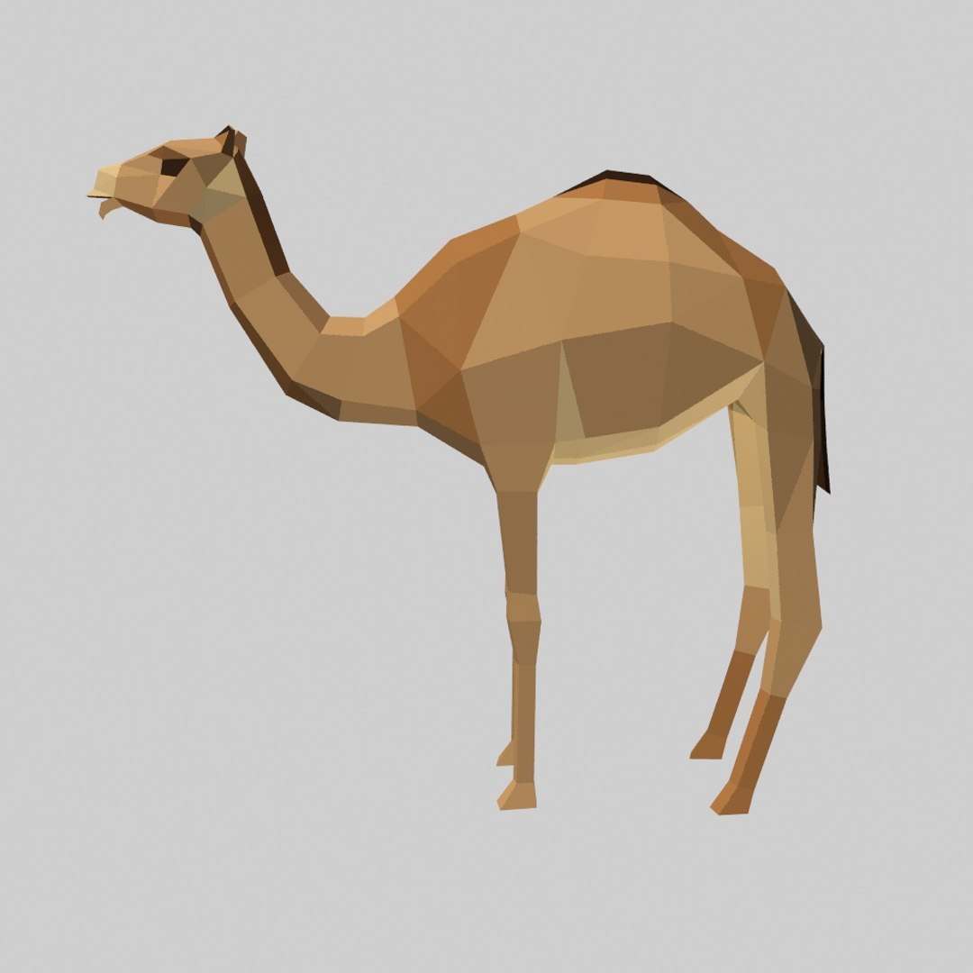 3D camel model https://p.turbosquid.com/ts-thumb/N9/pzRwCH/FjAIz0Kj/camel2/jpg/1522030814/1920x1080/fit_q87/6a6366ee073be6e264165d3dfb3b66d9d4d399f8/camel2.jpg