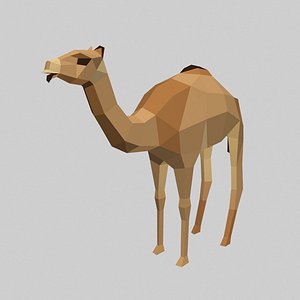 3D camel model