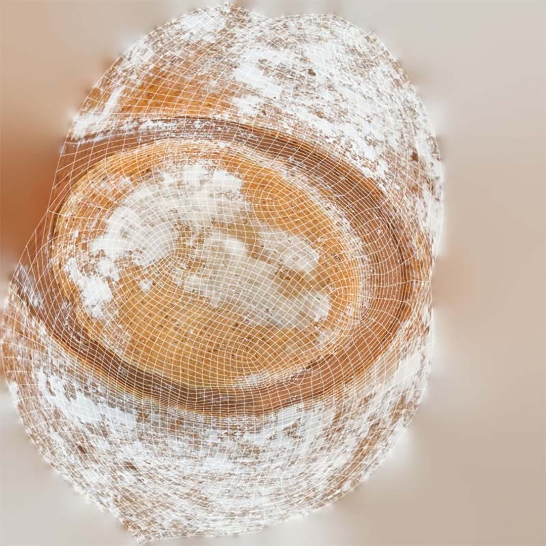Sugar Powdered Cookie Remastered 3D model https://p.turbosquid.com/ts-thumb/N9/q2mLcA/9I/sugar_powdered_cookie_uv/jpg/1740343450/1920x1080/fit_q87/ec2d95928ca007be27c13b98bdb8c4509e4146c9/sugar_powdered_cookie_uv.jpg