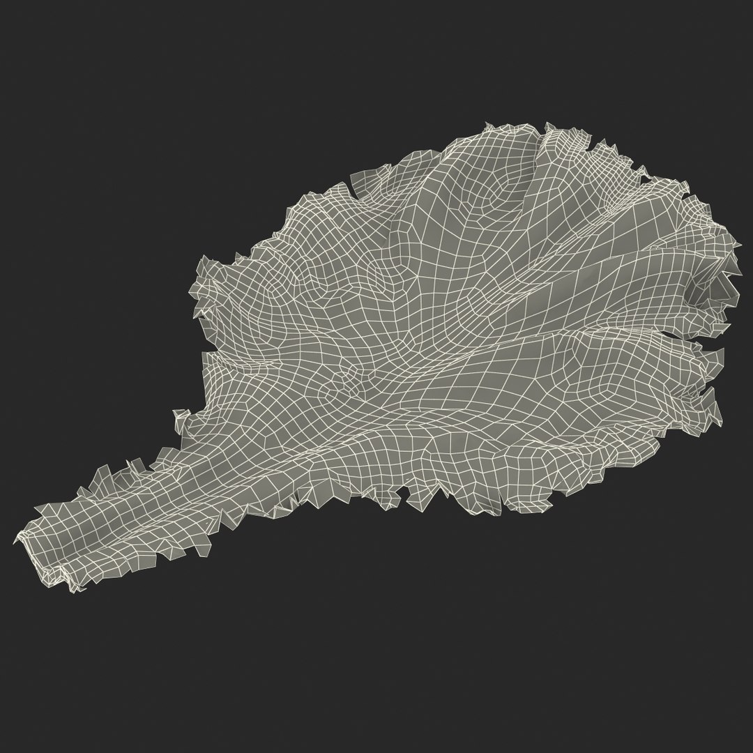 lettuce leaf 3d model https://p.turbosquid.com/ts-thumb/N9/vQ3R52/4rIIQJNu/lettuceleaf3dmodel16/jpg/1440763685/1920x1080/fit_q87/ba304775f56ca5dc23d19da8aa179b4eddbe657e/lettuceleaf3dmodel16.jpg
