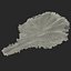 Lettuce Leaf